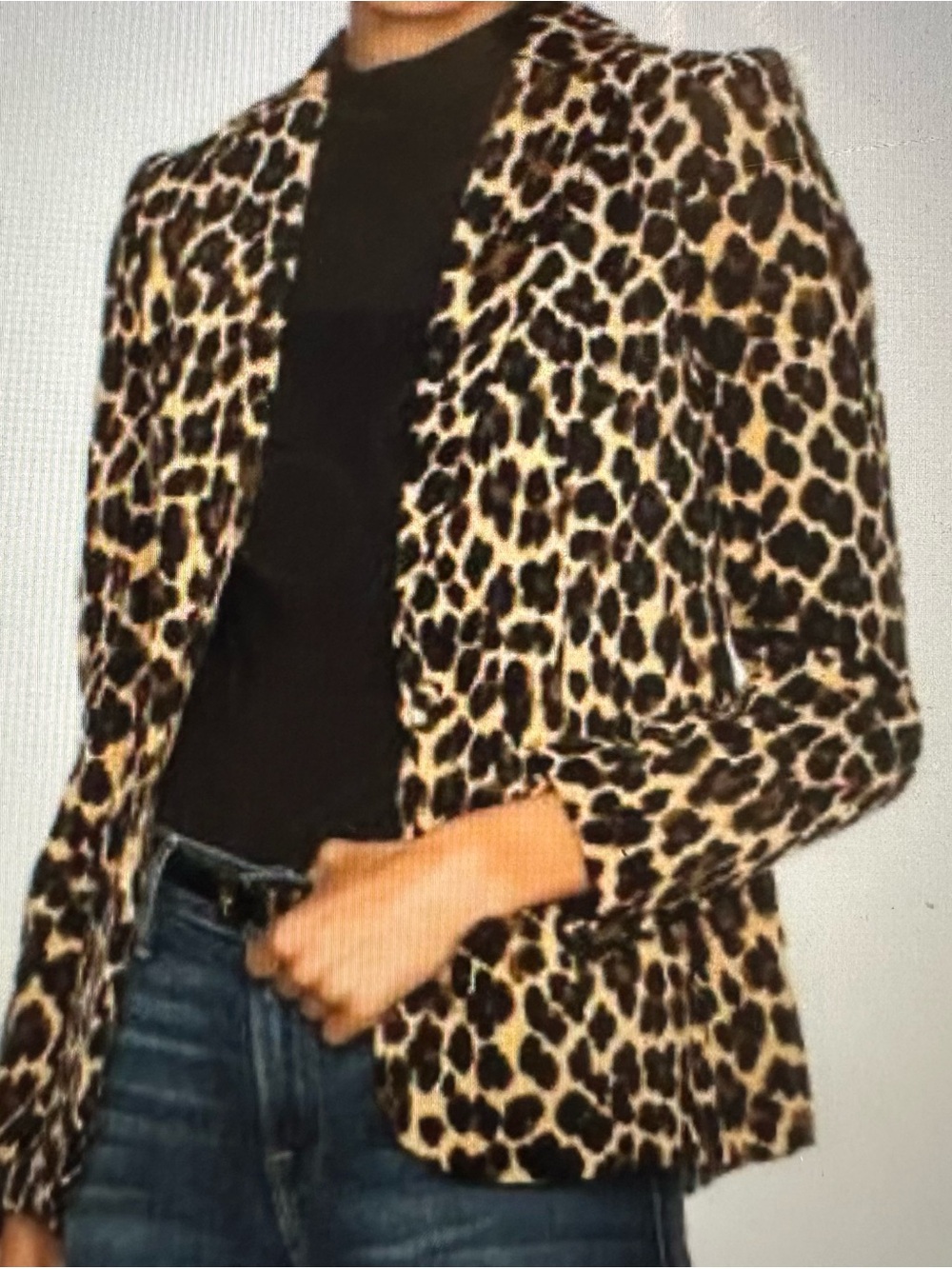 Frame Denim Leopard Print Velvet Blazer